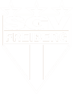 SGVFreiberg