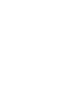 TSGHoffenheim