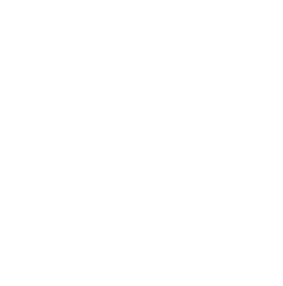 TSVWendlingen