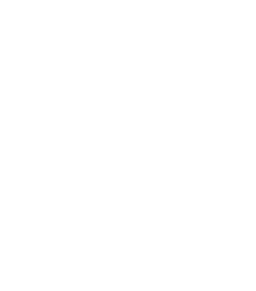 VFLUlm