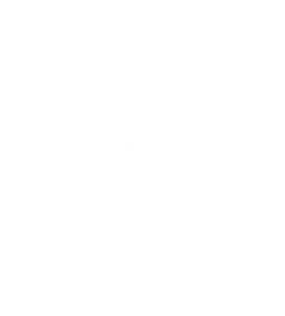 VfREvesen